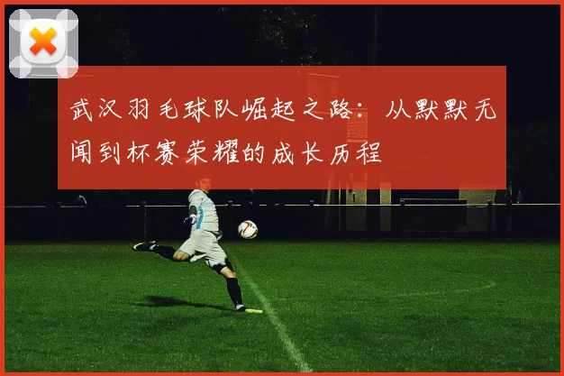 武汉羽毛球队崛起之路：从默默无闻到杯赛荣耀的成长历程