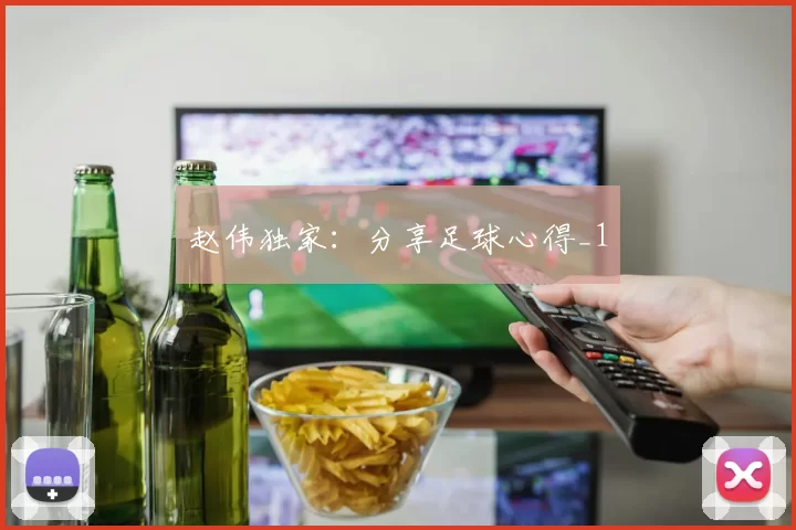 赵伟独家：分享足球心得_1